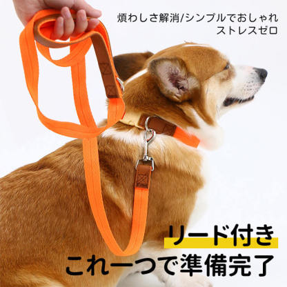 犬用首輪リードセット