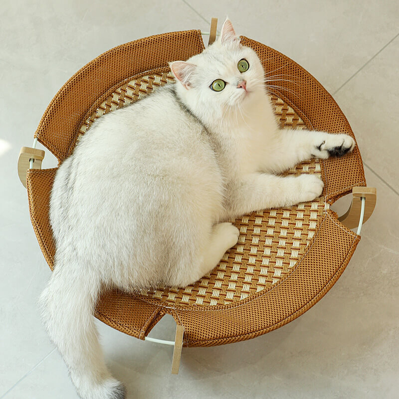 ひんやりラタン編みペットベッド 猫犬兼用 夏用 クールベッド 高耐荷重10kg 接触冷感 通気性抜群 木製 安定 湿気対策 熱中症対策 蚊除け 爪とぎ防止 お手入れ簡単 取り外し可能 型崩れしにくい 丸形/楕円形 小型犬 中型犬 大型猫 子猫 涼しい