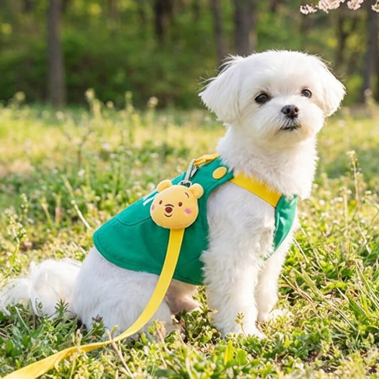 giipet-ペット用胴輪付きハーネス