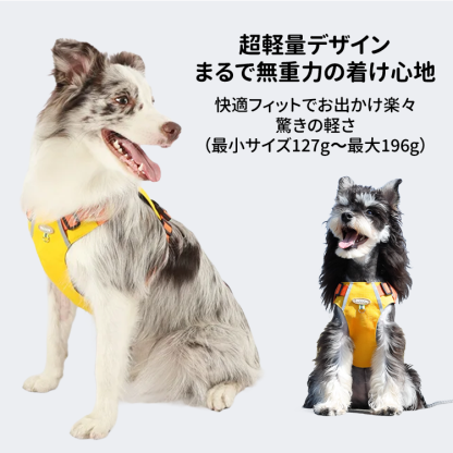 犬用反射テープ・ポケット付きハーネス式リード