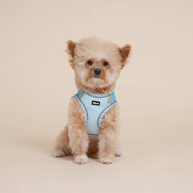 反射付き薄型ハーネス 小型犬 中型犬  軽量 脱げない 犬用胸当て ペット 胴輪 通気性 メッシュ 肌に優しい フィット感抜群 負担軽減 夜間散歩 安全 引っ張り防止 クール 簡単着脱 調整可能 ペット用品