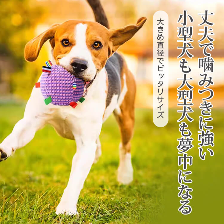 giipet-ペット用ローリングサウンドボールトイ