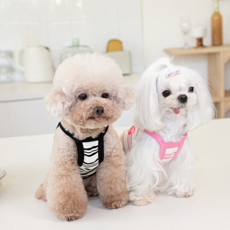 ペット用夏服キャミソール 子犬・猫用 春夏向け 通気性抜群 メッシュ素材 抜け毛がつきにくい 快適設計 ストレスフリー 3D立体裁断 かわいい おしゃれ 刺繍入り ドッグウェア 猫服 締め付け感なし 涼感ペットウェア