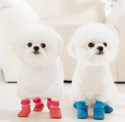 オールシーズン犬用ソックスシューズ 防水防汚 滑り止め 耐摩耗 脱げにくい マジックテープ固定 柔らかニット 軽量 通気性 天然ゴムソフトソール 着脱簡単 お散歩 汚れ防止 ケガ保護 寒さ対策 小型犬 中型犬 大型犬対応-Giipet