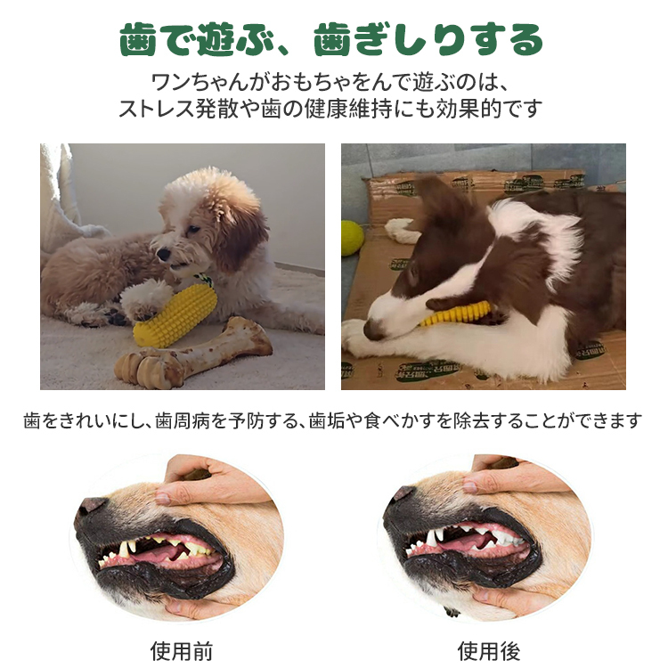 コーン型歯磨きスティック