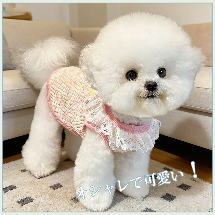 ニット製 可愛いレース襟 ペット用薄手ベスト 犬服 猫兼用 春夏 綿100
