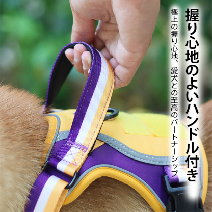 バスケ風犬用ハーネスリードセット 反射材 飛び出し防止設計 3秒着脱可能 スポーツ用エアレイヤー生地 通気性 肌触り抜群 マジックテープ カスタム対応 亜鉛合金バックル 小型 中型 大型犬用 ブラック/ブルー/イエロー3色展開