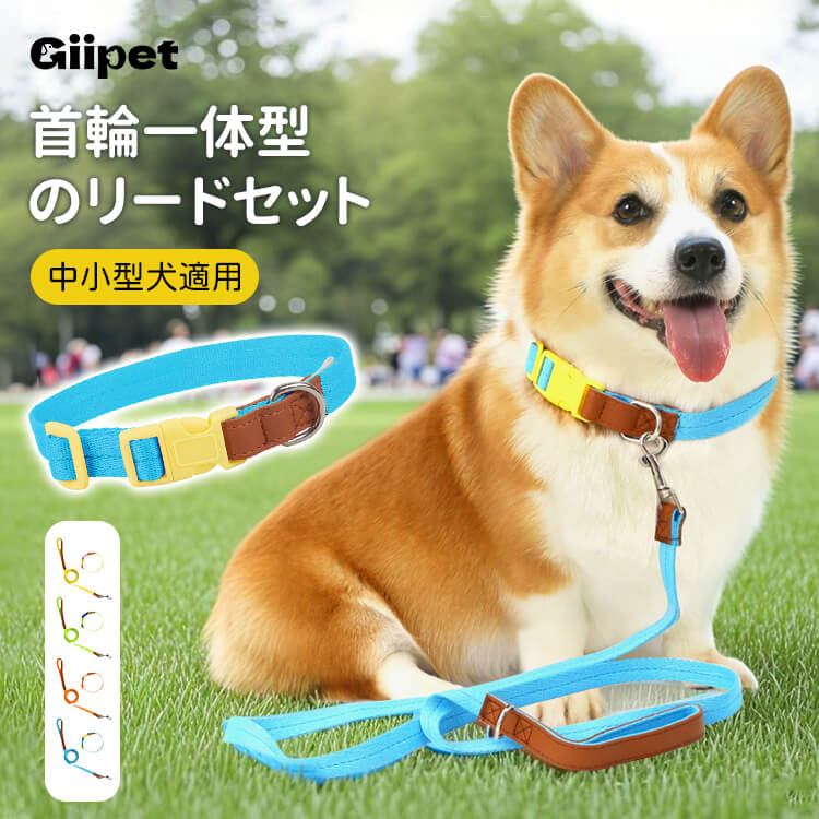 犬用首輪リードセット