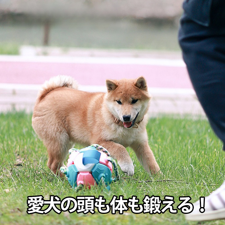 ペット用犬のおもちゃ 噛むボール 