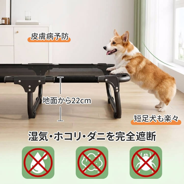 脚付きペットベッド 組み立て不要 コット メッシュ 犬 猫 完成品 高床