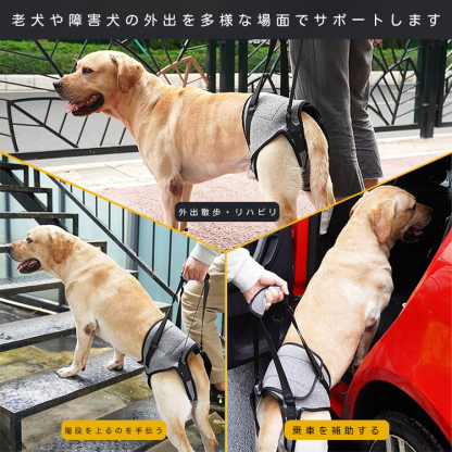 Giipet-老犬用補助ハーネス 犬 歩行補助ハーネス 胴体用 老犬 介護 年を取った 怪我 手術 快復中 病気 安全帯 手洗いok 通気性 抗菌消臭 脱着簡単 お出かけ便利 