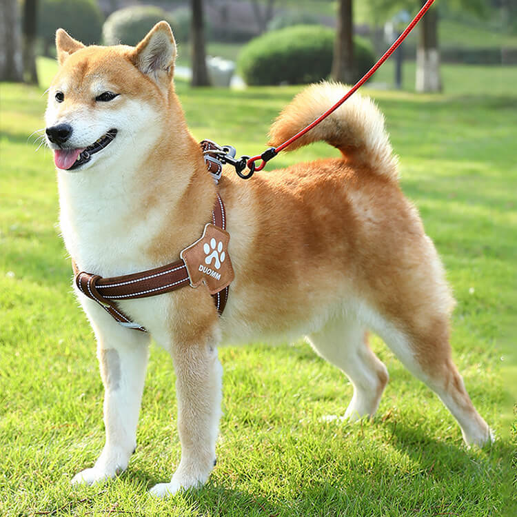 工字型ハーネスセット リードセット 衝撃吸収 引っ張り防止 胴轮 首負担ゼロ 気管に優しい 反射材付き 夜間安全 抜けにくい ダブルバックル 通気性 高強度素材 洗濯簡単 小型犬 中型犬 6-24kg対応 お散歩 お出かけ
