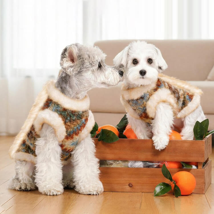 giipet-フェアアイランド風ペットウエア