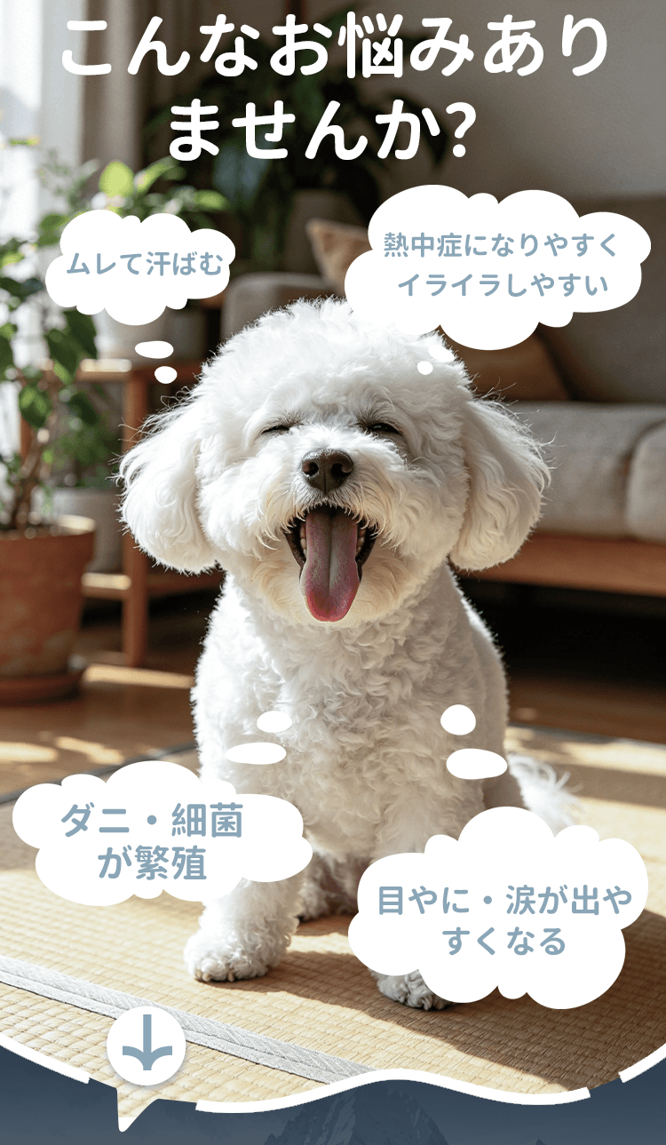 详情_02.png