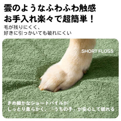 洗えるペットソファベッド 犬猫兼用 撥水防水加工 ショートパイル生地 爪とぎ防止 滑り止め オールシーズン ふわふわ雲触感 上質な眠り 多頭飼い 大型犬ゆったり 高反発ウレタン 脊椎保護