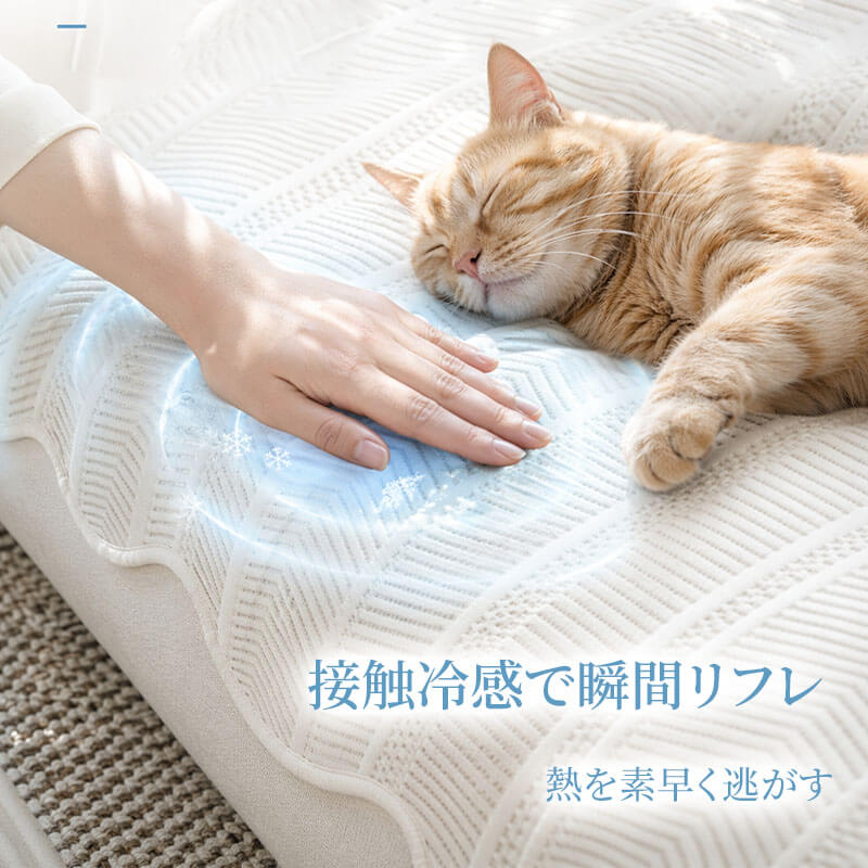 涼感青葉柄ソファーマット 夏用 ペットベッド ひんやり 接触冷感 犬 猫 クッション 犬用ベッド クールマット  森風 蒸れない 滑り止め付き 取り外し可能 カバー洗濯OK 汚れ防止 抜け毛対策 小型犬 中型犬 ペット用品