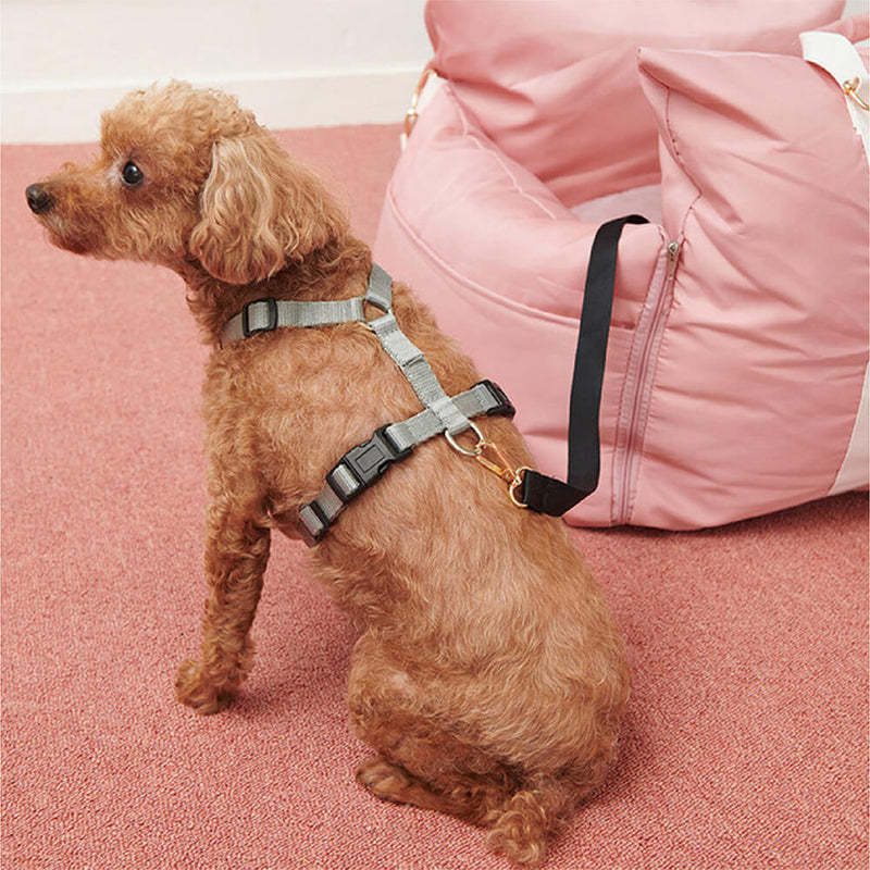 giipet-防水・滑り止め・防汚加工犬用シート