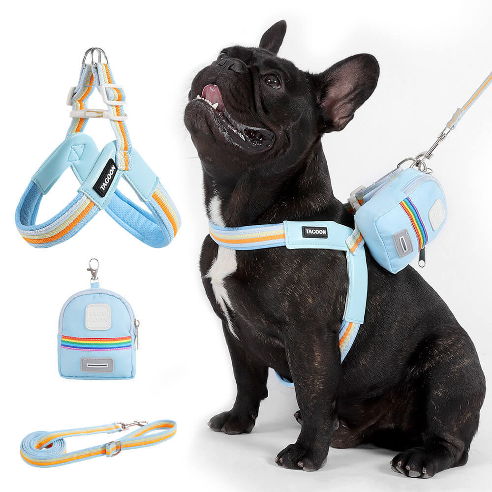 犬用Y字型ハーネス&リードセット 中小型犬向け 虹色レインボーカラー 軽量メッシュ素材 通気性抜群 首締め付けない 引っ張り防止 骨格圧迫しない快適設計 サイズ調整可能 着脱簡単 丈夫なPUレザー素材 お散歩が快適に