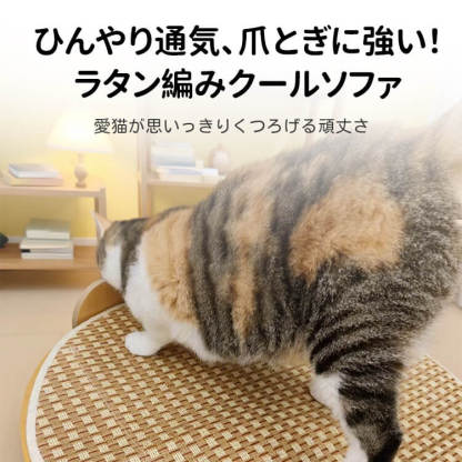 両面使える猫用爪とぎベッド サイザル麻製 冷感シート付き 丸型 四角型 選べる 夏 冬 オールシーズン対応 耐久性 丈夫 傷に強い 麻素材 爪とぎマット 猫ベッド 猫ハウス 猫用ソファー ストレス解消 遊び道具 隠れ家 多機能 手編み 環境に優しいボード 猫用品