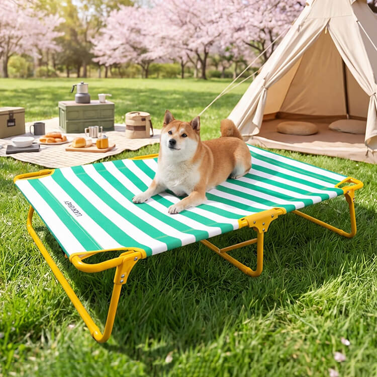 広ストライプペット用行軍ベッド 折りたたみ式 60kg耐荷重 頑丈 丈夫 通気性 涼しい 接触冷感 暑さ対策 蒸れない 湿気対策 高床式 大型犬 シニア犬 お手入れ简单 ストライプ柄 おしゃれ アウトドア レジャー