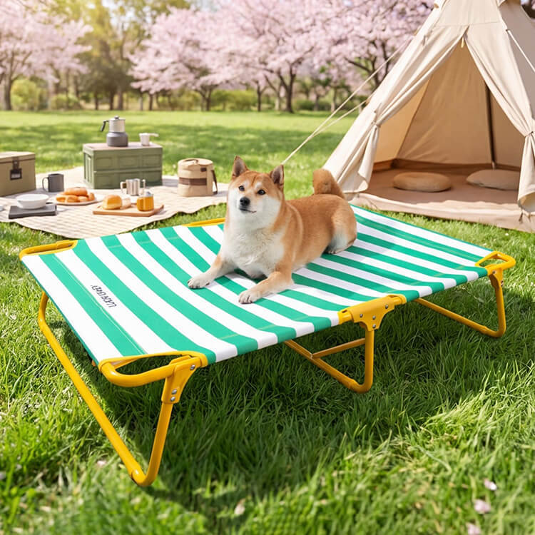 広ストライプペット用行軍ベッド 折りたたみ式 60kg耐荷重 頑丈 丈夫 通気性 涼しい 接触冷感 暑さ対策 蒸れない 湿気対策 高床式 大型犬 シニア犬 お手入れ简单 ストライプ柄 おしゃれ アウトドア レジャー