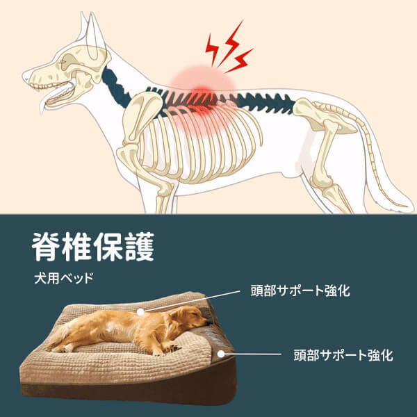 オールシーズン大型犬用ベッド ふわふわ高反発 脊椎保護&関節サポート 抗菌 滑り止め加工 洗濯機OK 着脱式カバー 50kg以内対応 広々スペース 柔らか上質素材 頭部サポート