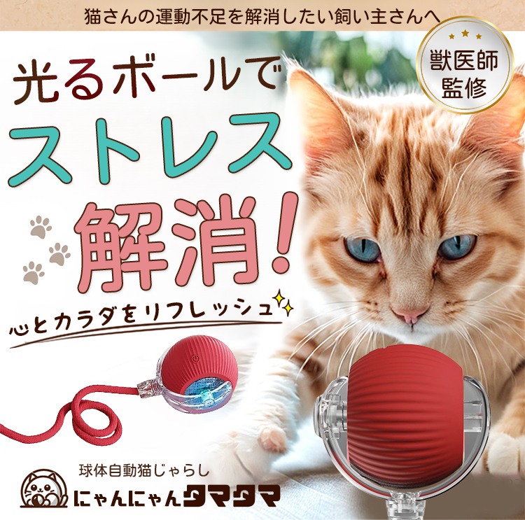 Giipet-スマートな猫犬遊びボール 犬 ボール 犬用 猫用 おもちゃ