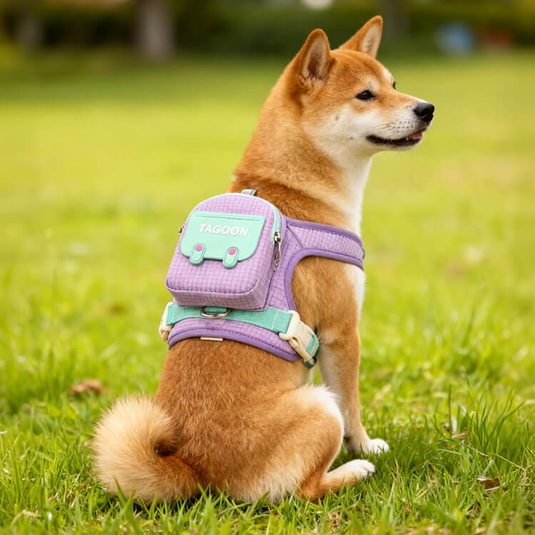 わんちゃん用おでかけリュック　バックパック式ハーネスリード