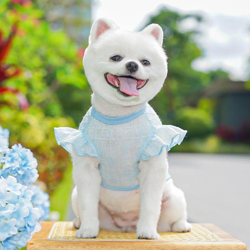 犬猫兼用冷感防蚊フリルタンクトップ サンプロテクションウェア 春夏用 接触冷感 防虫忌避 柔らかな肌触り 快適通気性 抜け引っ張り防止 多色展開 立体裁断 ストレスフリー お散歩安心 かわいい 花柄 刺繍
