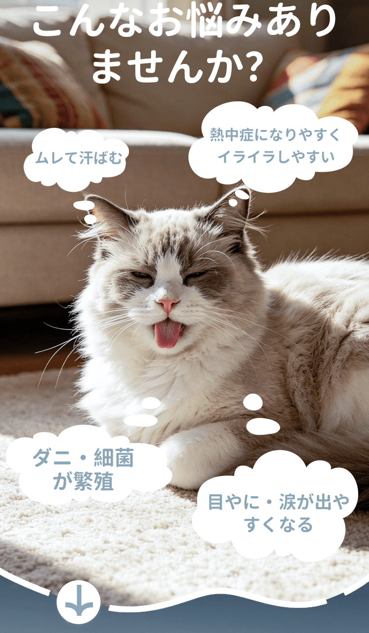 详情_02.png