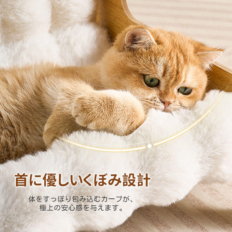 もちふわ猫用ソファベッド 高密度ラビットタッチ 木製フレーム L/XL/XXL 蓄熱保温 暖かい 冬用 もちもち ふわふわ 雲の上のような寝心地 脚付き 湿気・ハウスダスト対策 頑丈 角丸加工 安定感抜群 丸洗いOK 色褪せしない お手入れ簡単 子猫 シニア ぽっちゃり猫使える クッション-Giipet