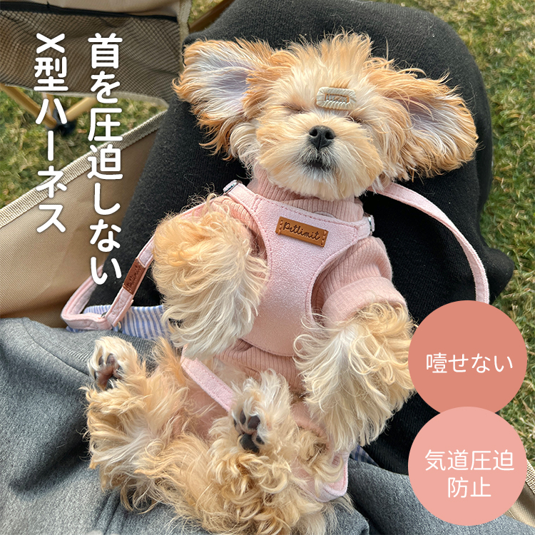 小型犬用ハーネスセット