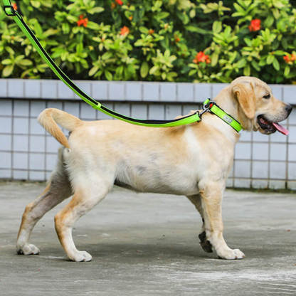 ダブルDリング首輪 犬用首輪 抜け防止 高耐久ナイロン 圧迫防止 夜間反射 簡単装着 耐久性抜群 小型犬 中型犬 大型犬対応 ペット安全首輪 オレンジ ピンク ブラック イエロー 4色展開