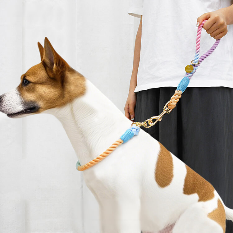 手編みトレーニングリード&P型首輪セット 引っ張り防止 犬用リード 耐衝撃高品質金具 360°回転スイベルリング 洗えるコットンリード 柔らか首に優しい 大型犬最適 軽量 ペット用お散歩グッズ 多色展開 簡単調節