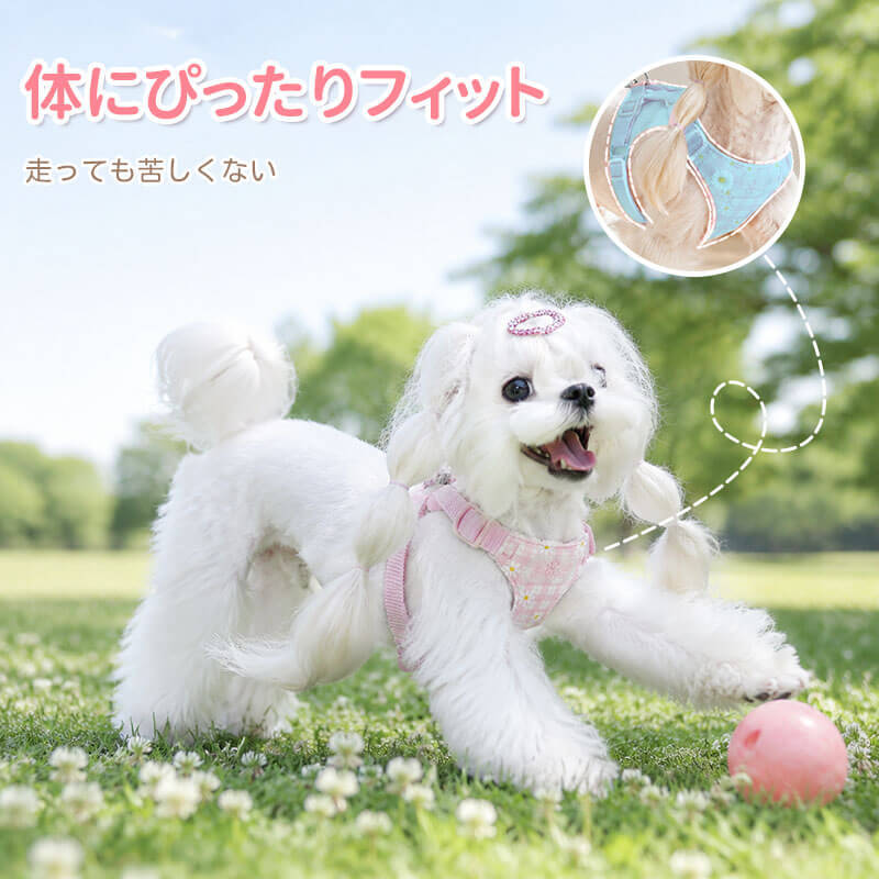 小型犬用デイジー柄ハーネス リードセット ベスト型 刺繍 チェック柄 メッシュ 通気性 蒸れない 立体裁断 ズレにくい 抜けにくい 色落ちしない 可愛い おしゃれ 散歩 ペット用品