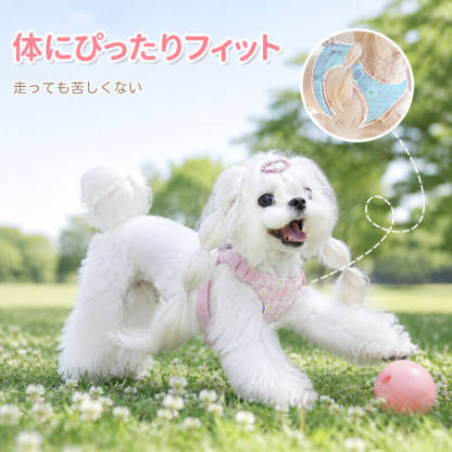小型犬用デイジー柄ハーネス リードセット ベスト型 刺繍 チェック柄 メッシュ 通気性 蒸れない 立体裁断 ズレにくい 抜けにくい 色落ちしない 可愛い おしゃれ 散歩 ペット用品