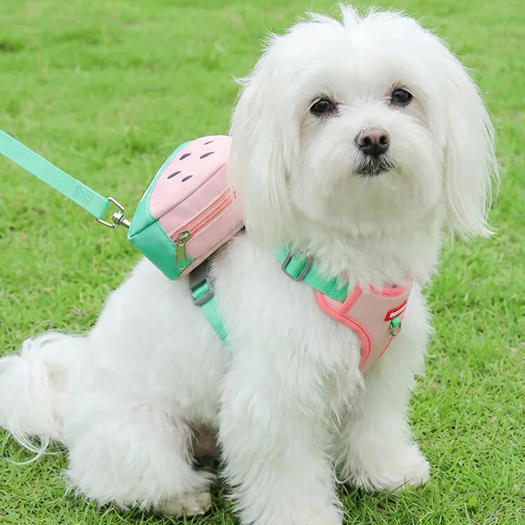 犬用ハーネス リュック付き フルーツ柄 取り外し可能 胴輪 通気性 メッシュ マナー袋出し口付き 小物入れ 散歩 負担軽減 かわいい おしゃれ 小型犬 中型犬 猫 抜けにくい ペット用品