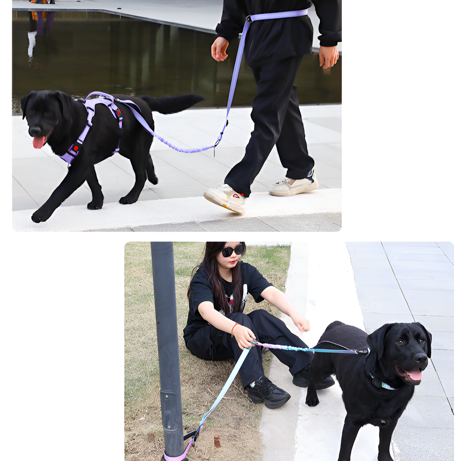 新しいペット防爆牽引ロープクロスボディランニング牽引ロープハンズフリー犬のリード犬のリード