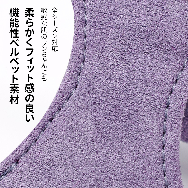 小型犬用ハーネスセット