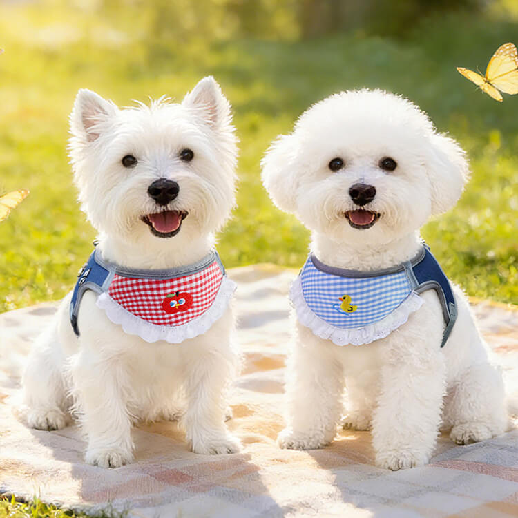 ヨダレかけ付きハーネス型リードセット スタイ付き ヨダレかけ 猫 小型犬 中型犬 可愛い おしゃれ 調整可能 抜けにくい 散歩 外出 お出かけ ドッグウェア ペット用品