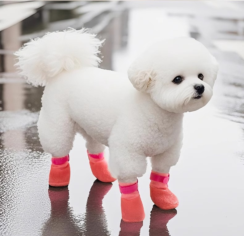 オールシーズン犬用ソックスシューズ 防水防汚 滑り止め 耐摩耗 脱げにくい マジックテープ固定 柔らかニット 軽量 通気性 天然ゴムソフトソール 着脱簡単 お散歩 汚れ防止 ケガ保護 寒さ対策 小型犬 中型犬 大型犬対応-Giipet