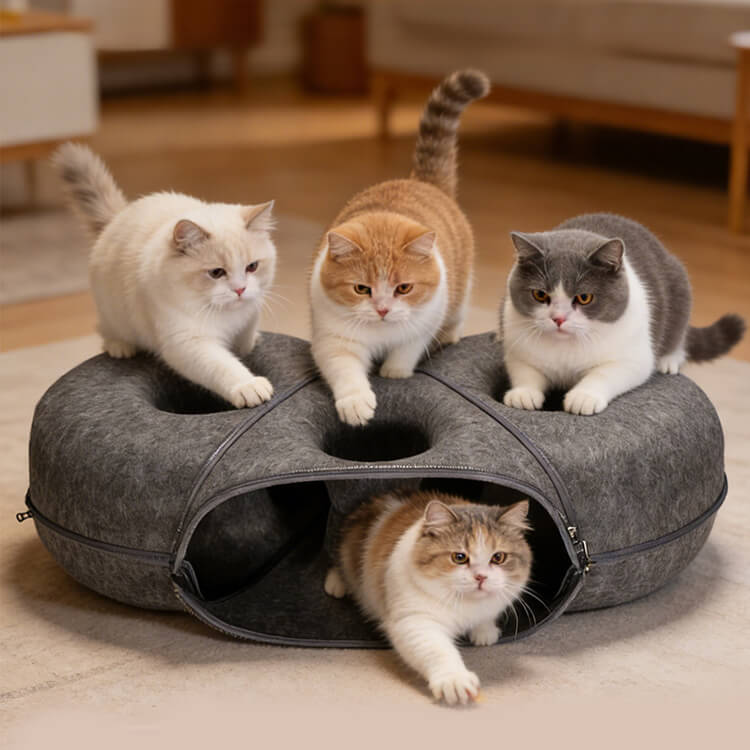 キャットベッド 猫 トンネル 組み合わせ式 キャットハウス 2WAY 遊び 休憩 爪研ぎ 隠れ家 多頭飼い 頑丈 丈夫 フェルト 型崩れしにくい オールシーズン ジッパー 分解 洗える 運動不足解消