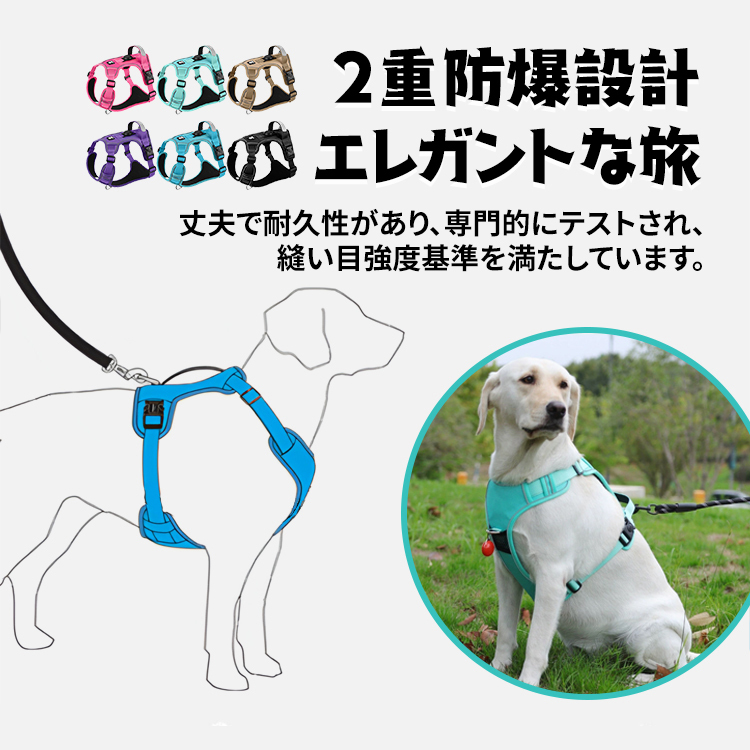 Giipet-位置追跡ハーネス 首輪リードセット 牽引ロープ Airtagケース Airtagカバー GPSペット追跡装置 安全バックル エアタグ 犬 猫用 安全首輪 スマホ対応 紛失防止 軽量 耐衝 M ブルー
