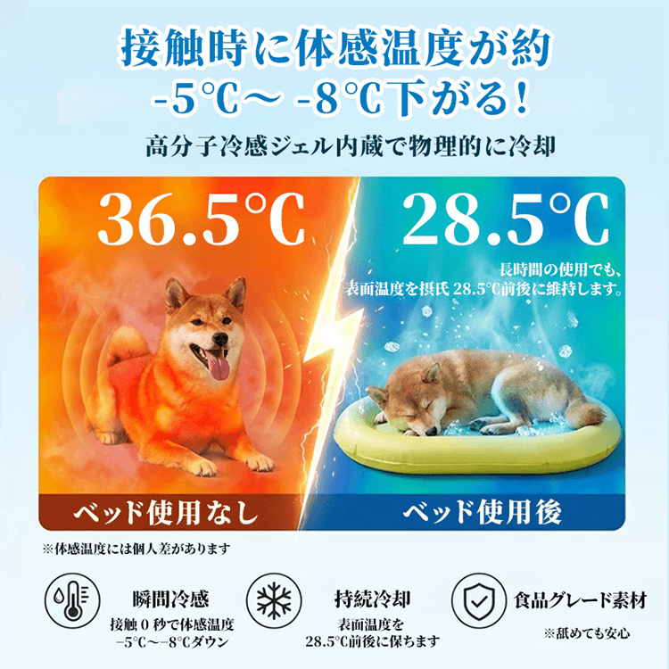 1012254220_07.png