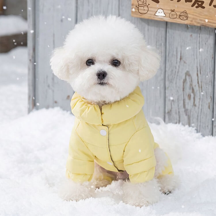 ペット用グラフェン四脚ダウンジャケット 極暖 蓄熱発熱コート -15℃耐寒 撥水 防風 防汚 フルカバー設計 3秒着脱 ドローコード調節可 犬服 冬用 ダックダウン高密度充填 グラフェン裏地 動きやすい軽量設計 リード穴付き-Giipet