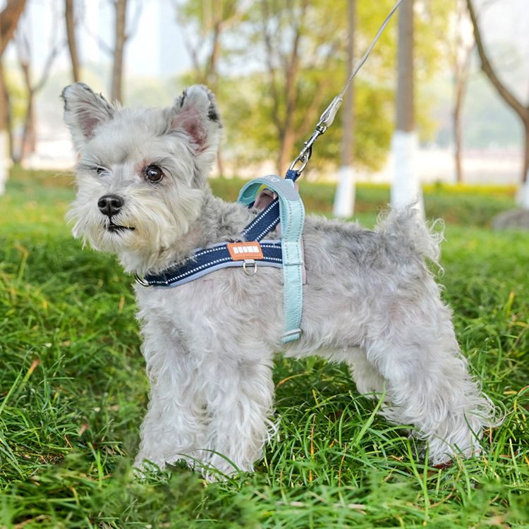 T字型ハーネス 引っ張り防止 胴輪 首輪 衝撃吸収 脱げない 抜け出し防止 首への負担軽減 反射材 クッション入り 夜間散歩 安全 通気性 ワンタッチ着脱 簡単装着 中型犬 大型犬 小型犬