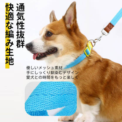 犬用首輪リードセット