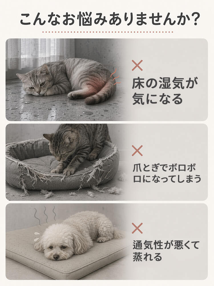 木製ロータイプペットベッド 小型犬 猫 四季通用 ローステップ 入り