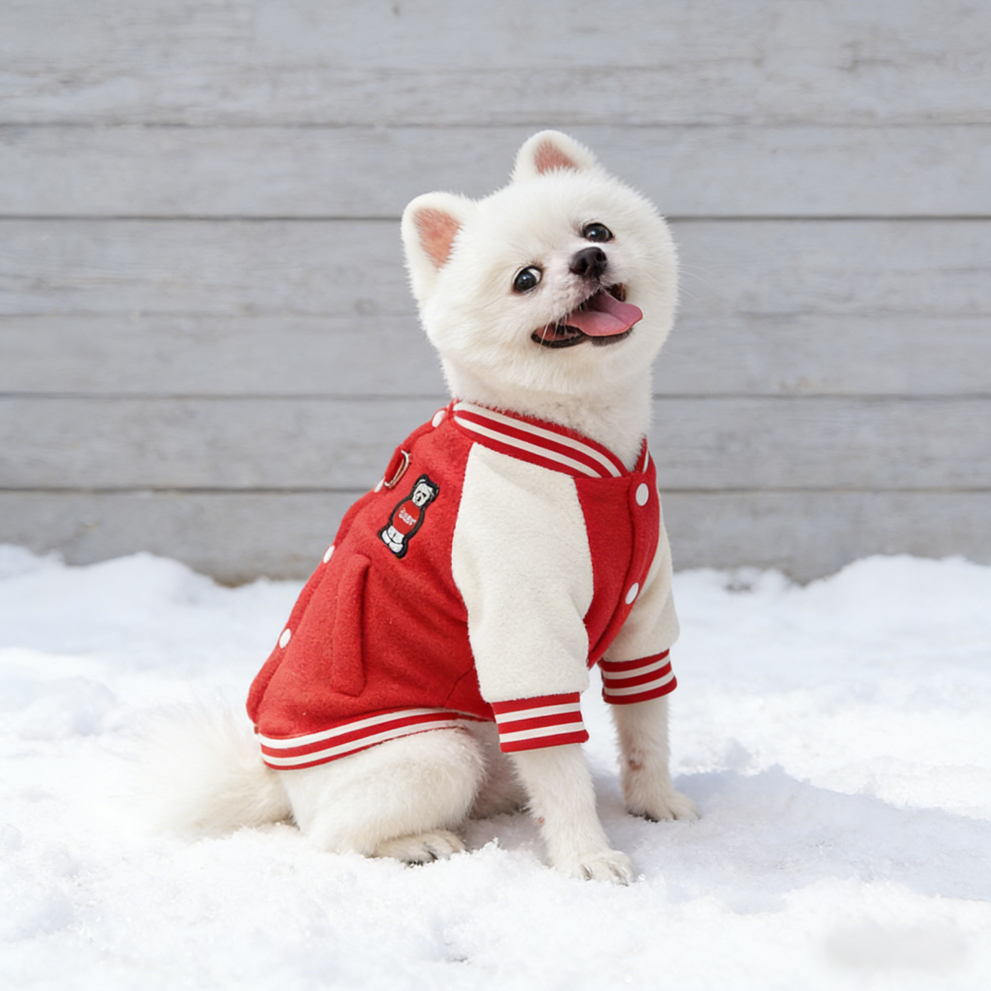 ペット用スタジャン あったか蓄熱フリース 極暖厚手 高密度 防寒保温ドッグウェア -5℃対応 ハイネック 着脱簡単 動きやすい カレッジ風 立体ポケット付き 毛玉防止 洗濯OK 小中型犬 シニア犬 全年齢対応 秋冬用 お散歩お出かけ 寒さ対策-Giipet