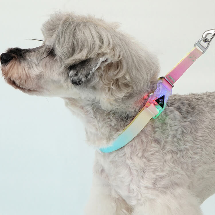 エンタイス15ml犬用2個セット 未使用 シリング付き 首輪 – Giipet エンタイス15ml犬用2個セット 未使用 シリング付き 首輪 – Giipet